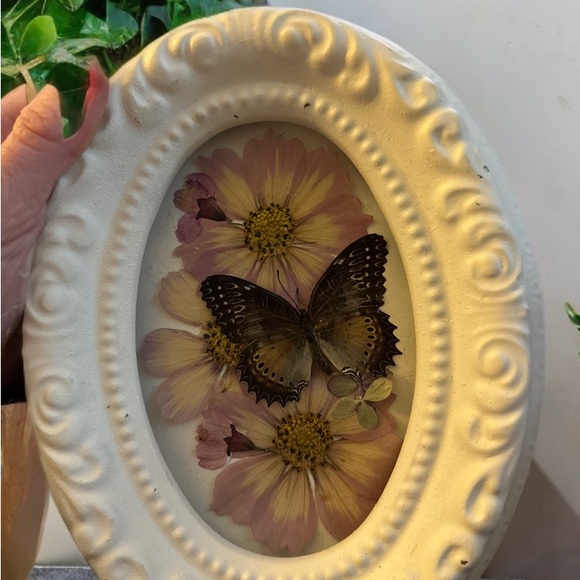 Vintage Oval Frame with real Butterfly and real pressed and painted Flowers.